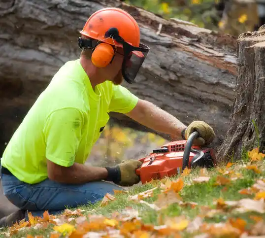 tree services Claiborne